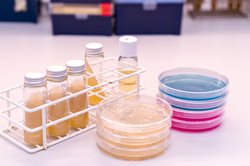 tubes-and-plates.jpg
