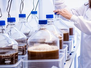 inoculating-liq-yeast-close-up.jpg