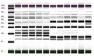 Fingerprinting-(1).jpg